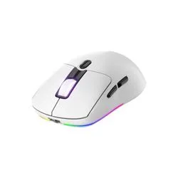 Mouse Gamer Raptor Storm Grip inalambrico RGB 24000DPI Sensor Pixart RAP-PIXART